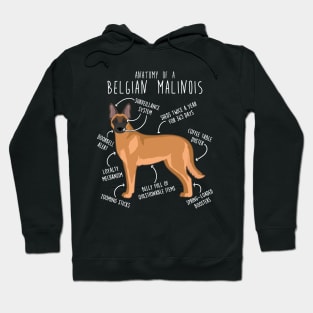 Belgian Malinois Dog Anatomy Hoodie